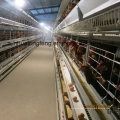 a Type of Automatic Poultry Cage